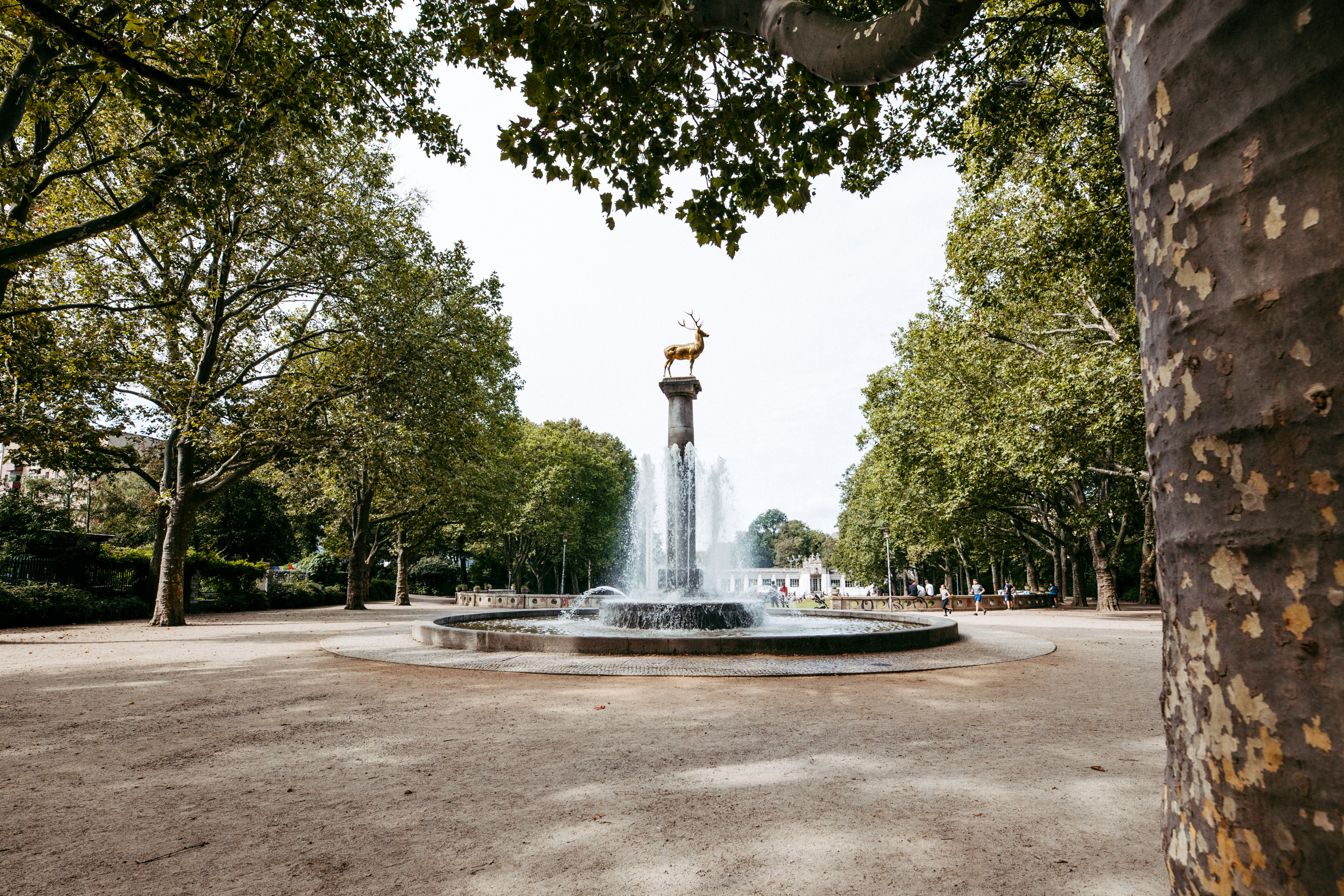 Hochzeit Rathaus Schöneberg Brautpaar nach Trauung